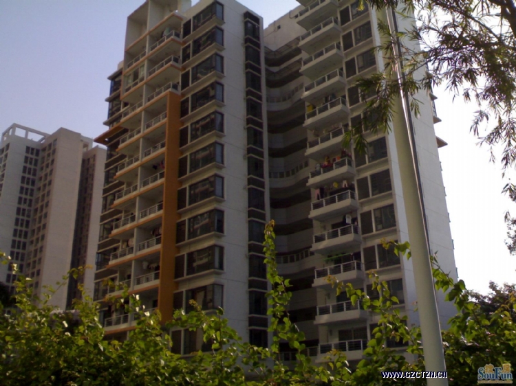 �V�����χ��Έ@