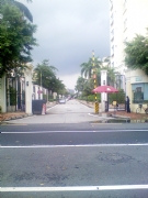 Pro_Images/P��Gold Asian G��